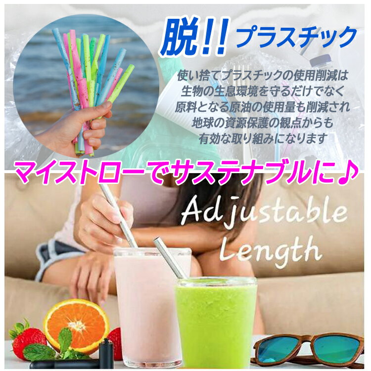 携帯ストロー 洗浄ブラシ付き ポケットストロー マイストロー 伸縮式 折り畳み コンパクト サステナブル カラビナ付き 携帯便利 FLST304