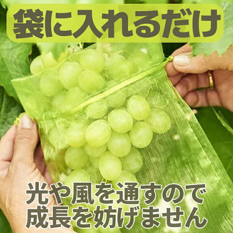 【20枚セット】果実袋 防虫ネット 通気 果物保護袋 被せるだけ 害虫や鳥から守る ...