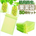 【50枚セット】果実袋 防虫ネット 通気 果物保護袋 被せるだけ 害虫や鳥から守る 害虫侵入防止 鳥被害対策 フルーツ傷予防 LST-FPBG50S