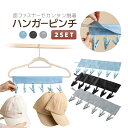 【2連セット】ハンガーピンチ 12個 携帯ハンガーピンチ 省スペース 脱着簡単 洗濯ハンガー 洗濯バサミ 帽子 パンツ 下着 物干し LST-HGPC02S