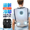 ペルチェベスト 冷却ベスト サイズ調整可能 USB給電方式 ペルチェ式 速冷却 省エネ 3段階温度調節 静音 軽量 快適な装着感 洗濯可 暑さ対策 LST-CV...