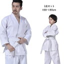 空手着 空手衣 子供 大人 授業用 中学 ジュニア 上下セット セットアップ 3点セット ズボン 上着 帯 合気道着 道衣 柔道着 空手道衣 キッズ 合気道 道...