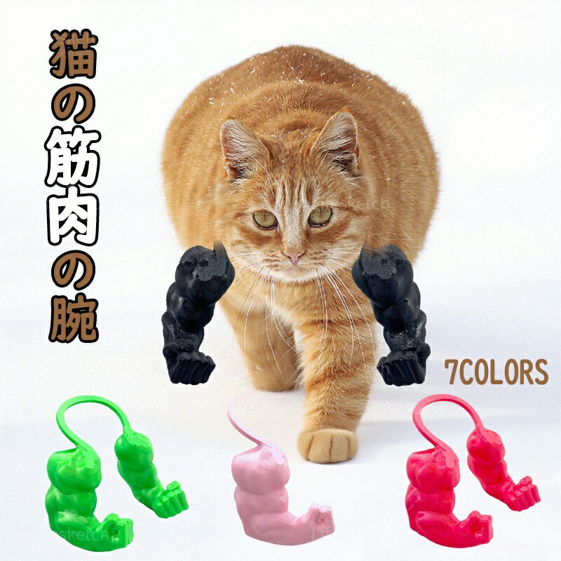 ��2025��ȯ�䡿 ǭ ���򤤥��å� ǭ�ζ������� �ڥå� �����ץ� ǭ �������塼�� ��¤Ū�ʵ������ 3DΩ�� �ϥ������� �������Ӥ���ñ ���򤤥ڥåȤξ�...