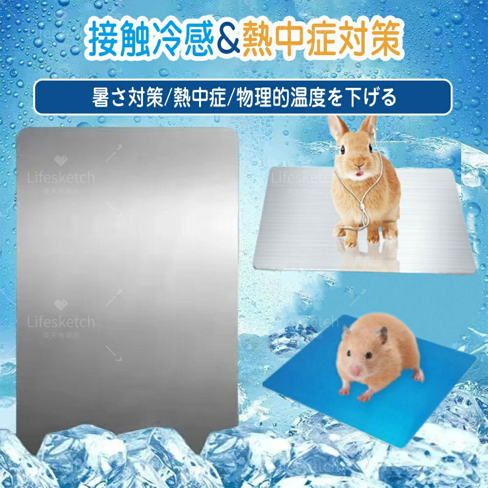 �� �뤵�к� ���� �ڥå� �Ҥ���ץ졼�� Ǯ����к� ǭ�� �䴶�ץ졼�ȥޥå� �ϥॹ���� �����륷���� ������ �ܿ��䴶 ���� �ڥå��� �����륢��ߥܡ��� �ô� ��� �ƥ��å� Ǯ����к� �ô��ץ졼�� ����ߥ����� ʪ����� ��ѥޥå� ������ ǭ ��ưʪ �����