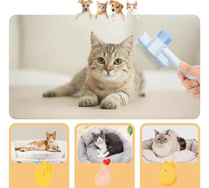 2�ܥ��å� ǭ�֥饷 ���ѥ֥饷 ���� ���ץå��弰 ȴ���Ӽ�� ��ñ���롼�ߥ� �ˤ��ʤ� ǭ���Ӽ�� û�� ���� Ĺ���б� �ڥå��Ѥ��� �֥饷 ������������ �ڥåȥ��롼�ߥ� ȴ���Ӽ�ꥯ�꡼�ʡ� ���� �� ��󥿥å� �ˤ��ʤ� �ڤ߻ߤ�