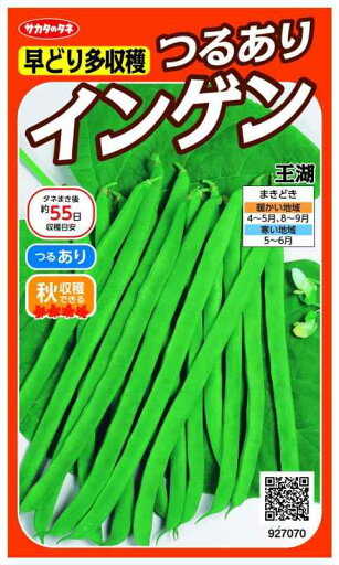 実咲野菜 インゲン 早どり多収穫つるありインゲン 王湖 小袋003121 実咲野菜 インゲン 早どり多収穫つるありインゲン 王湖 小袋003121