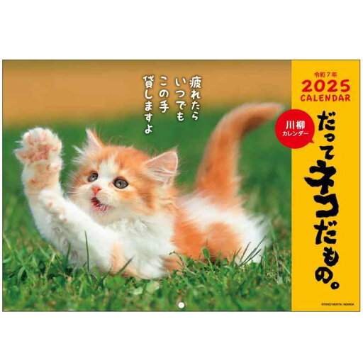 アクティブコーポレーション 2025年 カレンダー 壁掛け だってネコだもの。 25ACL-66 2025年 1月始まり アクティブコーポレーション 2025年 カレンダー 壁掛け だってネコだもの。 25ACL-66 2025年 1月始まり