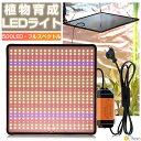 \100円OFFクーポンあり/植物育成ライト LED 植物育成ライト 600W 500LEDランプ フルスペクトル 照明 アダプター付き USB給電式 角度調整...