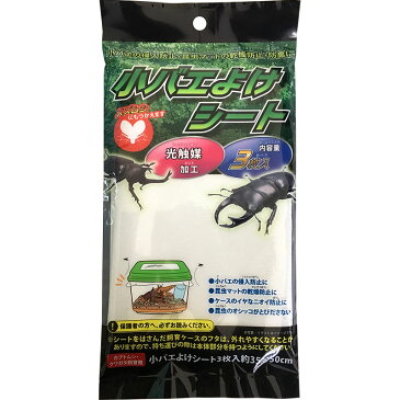 【カブト虫・クワガタ虫の飼育セット】小バエよけシート3枚入[虫よけ 防虫シート 自由研究 夏]