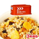 レスキューフーズ 栗五目ごはん（缶詰） 防災用品 非常食 保存食 防災グッズ 防災セット 緊急 災害 備蓄 食料