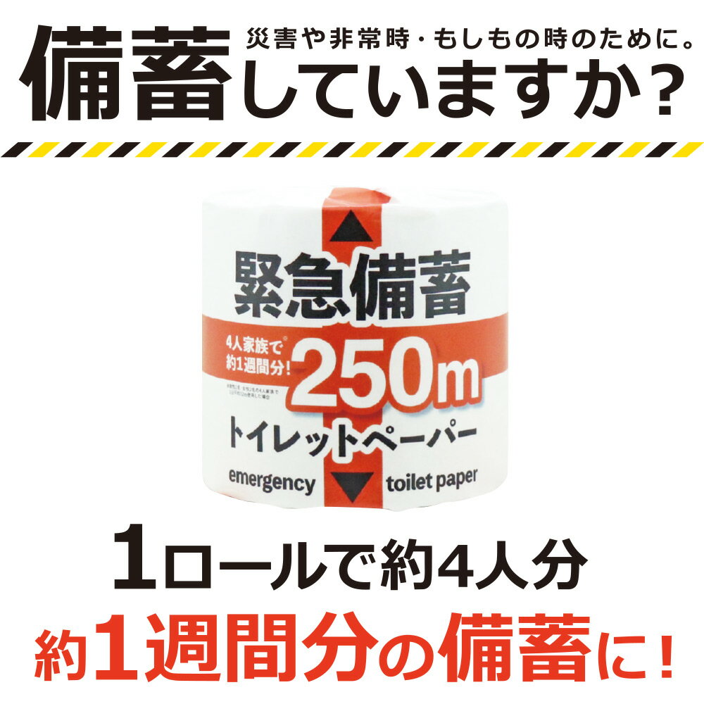 緊急備蓄 備蓄 トイレットペーパー 250m シングル 24個入 5倍 芯なし 1R250S 防災グッズ 非常用 備蓄用 災害 防災用品 業務用 家庭用 再生紙100％ エコ トイレ 便所 収納 コンパクト 省スペース 日用品 お歳暮 ギフト 学校 法人 団体 職場 企業 防災セット 10250003