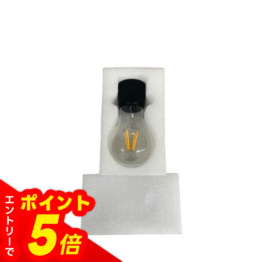 【エントリーでポイント5倍】bulb G電球(備品)