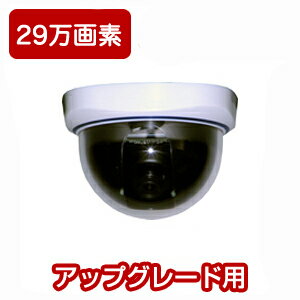 防犯カメラ　監視カメラ【Life　Style−EC】CCD搭載　420TVライン　29万画素　マイク付　ドーム型防犯カメラ【LS_DNI420-001M】(532P26Feb16)