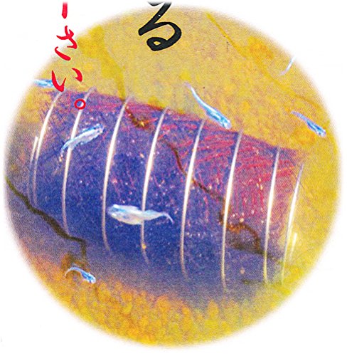メダカの産卵とんねる 2個入 メダカの巣