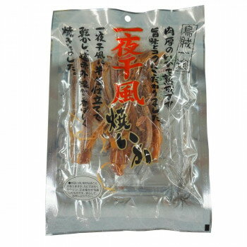 小倉秋一商店 一夜干し風焼いか 38g×10セット【送料無料】