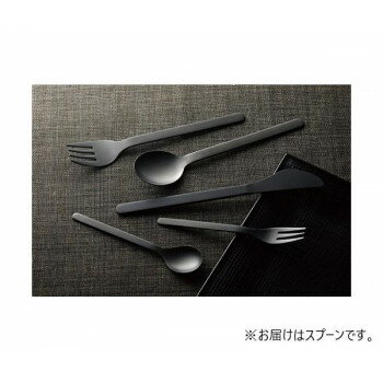 佐藤金属興業　SALUS　機内食カトラリー　スプーン　黒酸化発色　【送料無料】 メール便対応商品
