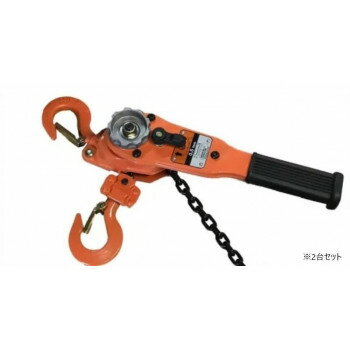 ベスト・アンサー　レバーホイスト 1.5m 2台セット 037【送料無料】