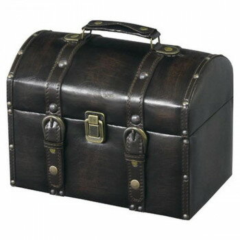 東谷 トランク ダークブラウン IW-875【送料無料】