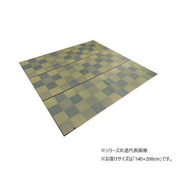 ブロック　ラグタイプ　LGY　140×200cm　1050970302303【送料無料】(3)