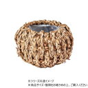 ホグラスボウルS 7200192【送料無料】