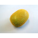 日本職人が作る 食品サンプル キウイ IP-353【送料無料】