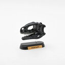 FDW-510 フクイラプトル スカル ミニモデル 73510【送料無料】