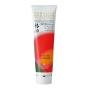 LNオーガニック ヘアクリーム 90g【送料無料】