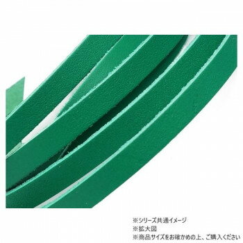 10本パック クロッタンレース(コンビ鞣し) グリーン 10本入 Phimo0198-10-07【送