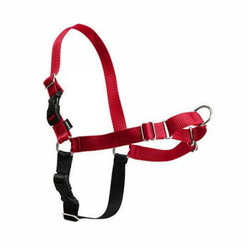 PetSafe Japan ペットセーフ イージーウォークハーネス S レッド×ブラック EWH-HC-S-RED【送料無料】