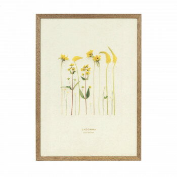 ラドンナ フォトフレーム 写真立て AVANTI インテリア ブラウン DF53-A4-BR【送料無料】