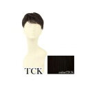 プリシラ 男性用5分ウィッグ レイヤーショート 耐熱 ショコラブラック GB-22-TCK【送料無料】