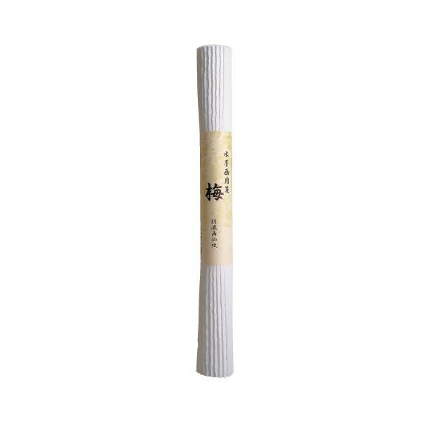 水墨画用紙 梅 10枚 BC11-7【送料無料】