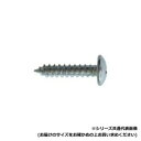 LifeUpで買える「セレクト トラスタッピングビス 4X25 TR-25P【送料無料】」の画像です。価格は1,936円になります。