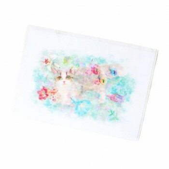 とことこサーカス クリアファイル 猫/ネコ 「水のなかで咲いたよ」 3枚セット ST-CF-027【送料無料】