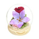 お供え用(仏花) 四季スフィア プリザーブドフラワー 長月 キキョウ C38309【送料無料】