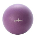 羽立工業 リラクシングワーク スッキリコアボール20CM NH3601【送料無料】(4)