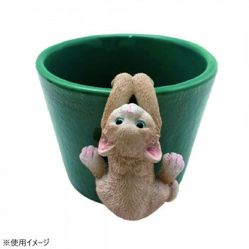 フレンドリーマスコット ひっかけキャット ブラウン 上向き 4009464-02【送料無料】