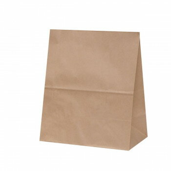 ハイバッグ　H600　未晒　無地 100枚 XZK50130【送料無料】