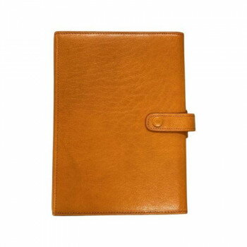 ASHFORD アシュフォード ヘリテイジ BIBLE 25mm コーチマン ラスタ 7273-033【送料無料】