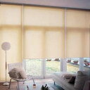 タチカワ TIORIOティオリオ ロールスクリーン無地防炎135×180cm TR-3148・ペールグリーン【送料無料】