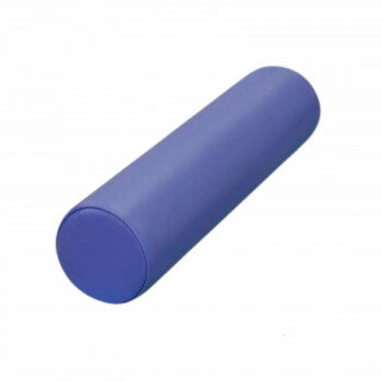 高田ベッド製作所 カラーサークル(中) (体幹トレーニングクッション) ライトブルー TB-77C-54【送料無料】