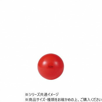 ダンノ(DANNO) ギムニク カラーボール 55　D5431【送料無料】