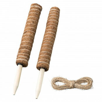 園芸用 ココスティック 連結可観葉植物の支柱　2本組【送料無料】