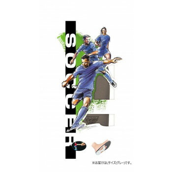 DSIS　ソルボサッカー　グレー　61653・L【送料無料】