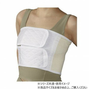 日本衛材 術後帯 ダイヤフィックスII型 1個　LL(90〜110cm)・NE-624【送料無料】