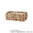 ホグラス浅型長方形S 7200190【送料無料】