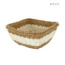 フルーツバスケット スクエア ホワイト 13623812151【送料無料】