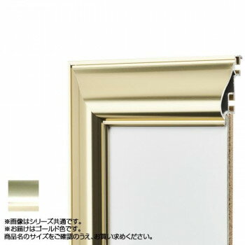 アルナ アルミフレーム デッサン額 HVL ゴールド コピー紙B5 12351【送料無料】