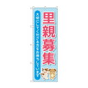 のぼり 里親募集 GNB-4340【送料無料】