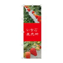 のぼり いちご直売所 81982【送料無料】
